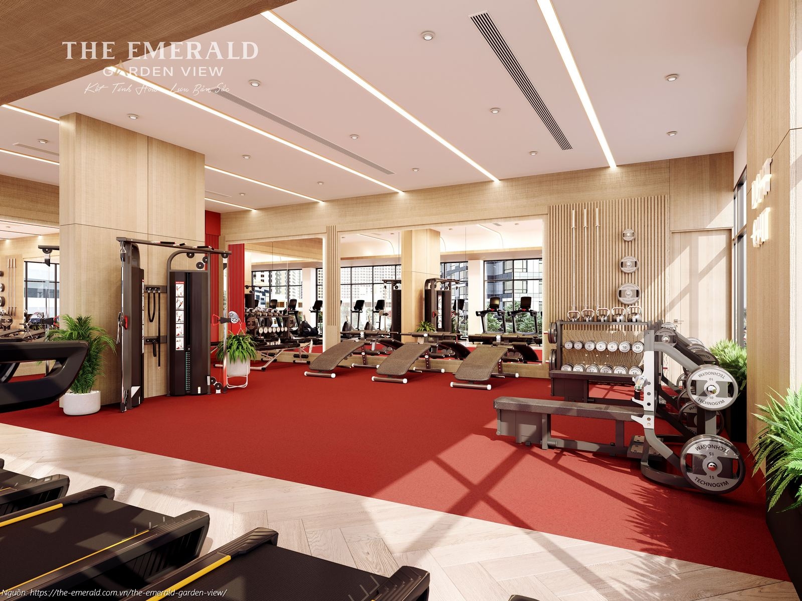 Phòng Gym hiện đại với trang thiết bị tập luyện cao cấp tại tầng 4 Bonding Zone The Emerald Garden View